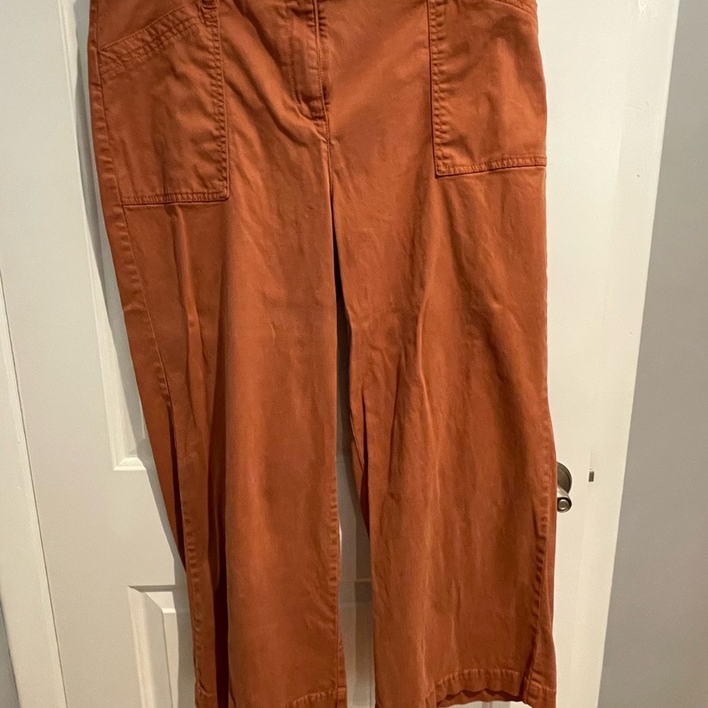 Joie Terracotta Trousers